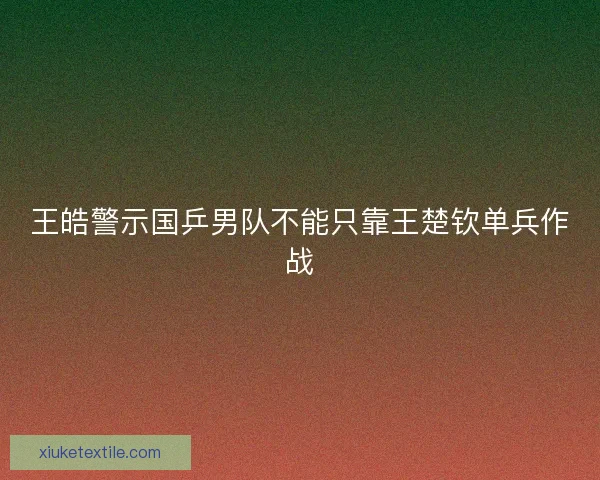 王皓警示国乒男队不能只靠王楚钦单兵作战